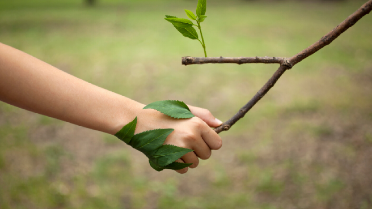 Contacto con la naturaleza